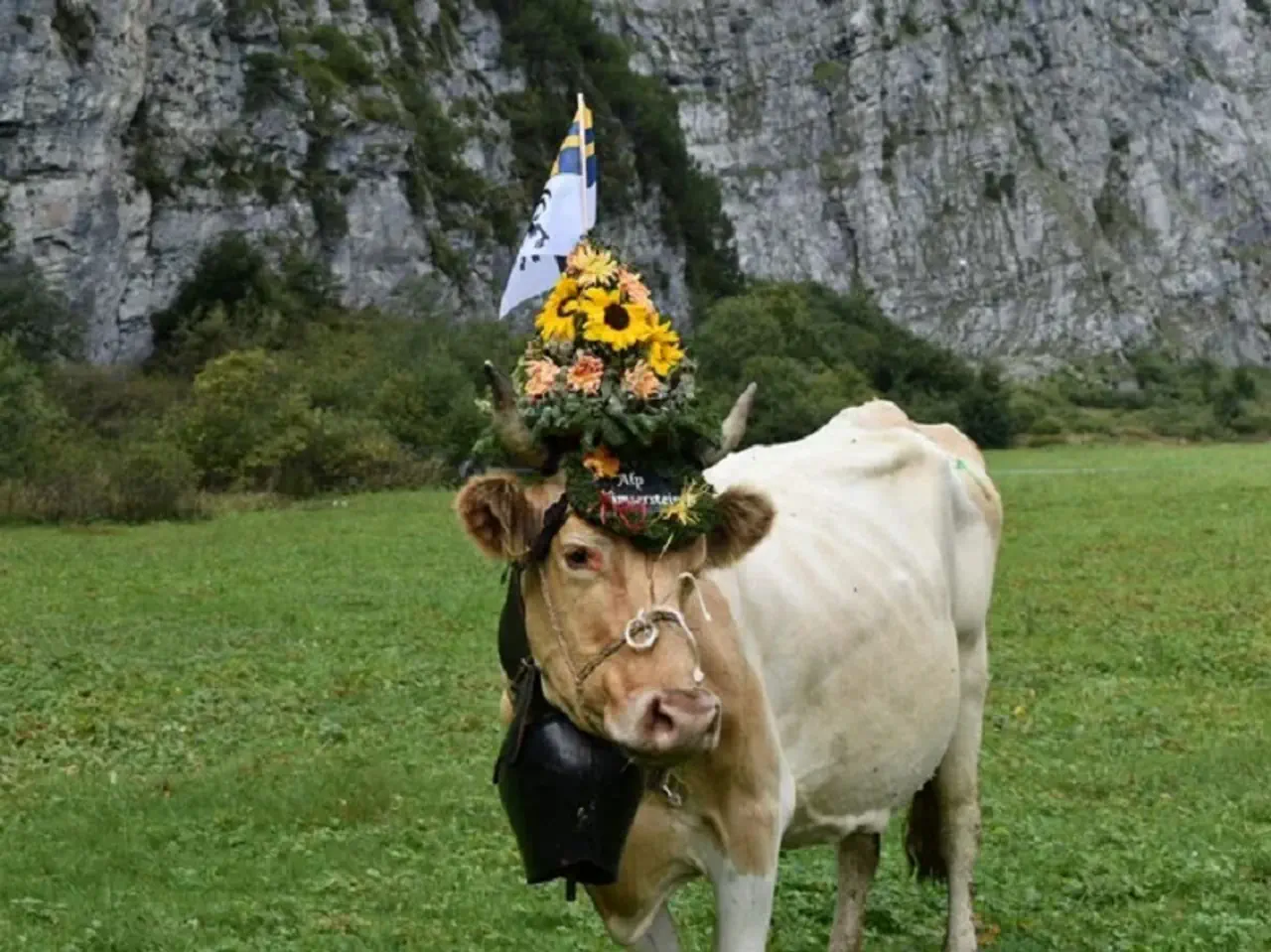 Wann finden die Alpabzüge in Graubünden statt?