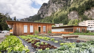 Ils edifizis da l'ARBES cun in iert da verduras davant.