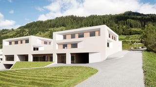 Visualisaziun dal project