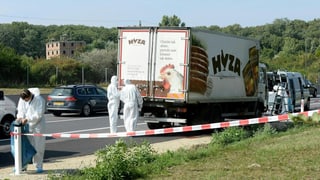 in camiun a l'ur da l'autostrada