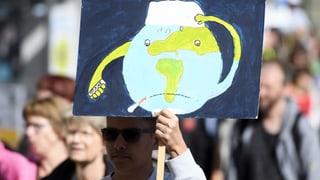 Placat durant ina demonstraziun da clima.