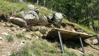 Preperativas dal indriz