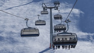 Ina sutgera cun skiunzas e skiunzs.