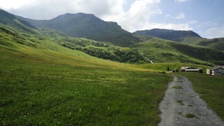 Cuntrada Alp Flex. 