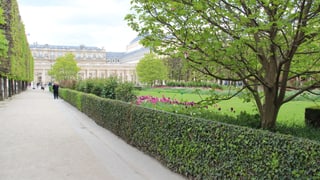 Jardin du Palais Royal. 
