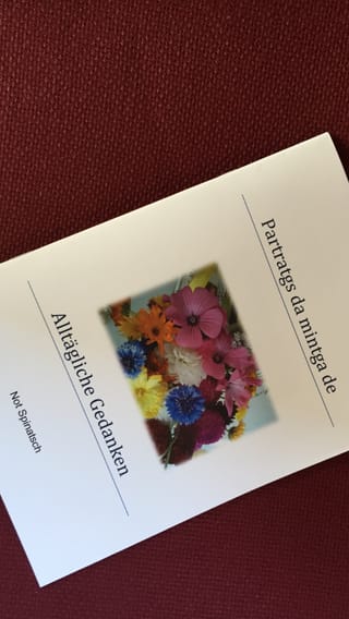 Cover dal cudesch 'Patratgs dal mintga de'.