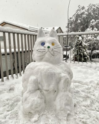 Pertge in um da naiv sch'ins po er far in giat?