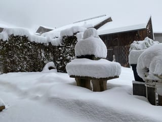 A Camuns hai dà 38cm naiv.