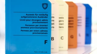 Permiss d'asil