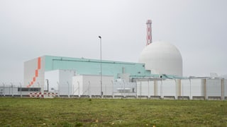 Ovra atomara Leibstadt.