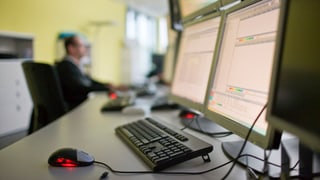 Visur d'in computer cun ina miur. Visur d'in computer cun ina miur.