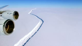 Purtret da la NASA che mussa il stgarp en la plattafurma da Larsen C il schaner. 