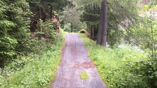 Ina da las vias da guaud a Zernez che duai vegnir megliurada e gist schlargiada. 