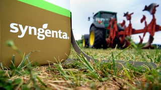 Purtret dal logo da Syngenta.