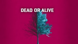 DEAD OR ALIVE