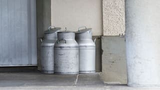 Dapli daners per il latg quai vul il Cussegl dals chantuns. 