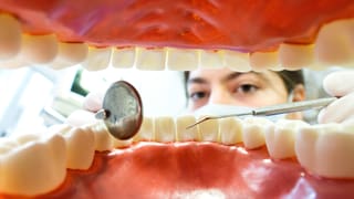 modell da dents e dentista.