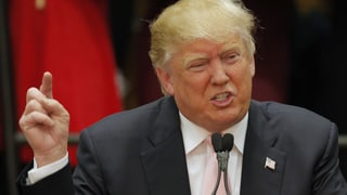 Donald Trump Donald Trump