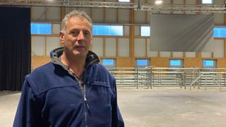 Christian Parli, il manader da fatschenta da Biestga Grischun/Graubünden Vieh. Christian Parli, il manader da fatschenta da Biestga Grischun/Graubünden Vieh.