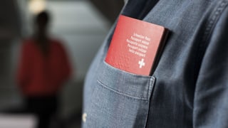 persuna cun il pass svizzer en il satg da la chamischa. persuna cun il pass svizzer en il satg da la chamischa.