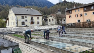 Impressiun da la giardinaria Müller a Susch.
