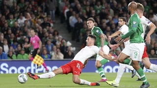 Ballapedists en acziun