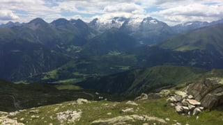 Culissa