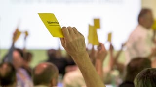 Durant la radunanza da delegads da la partida burgaisdemocrata - plirs delegads tegnan si ina charta melna