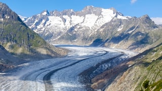 Il glatscher Aletsch.