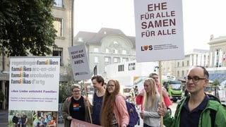 Purtret d'ina demonstraziun. 