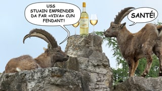 Uss vegnan ils capricorns gagliards. 