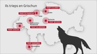 Grafica trieps en Grischun. Grafica trieps en Grischun.