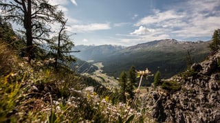 Fotografia da la Val Müstair