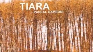 Tiara
