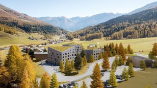 La surfabricaziun la Sassa a tschierv in Val Müstair