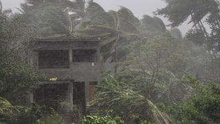 chasa bandunada e plantas en la plievgia