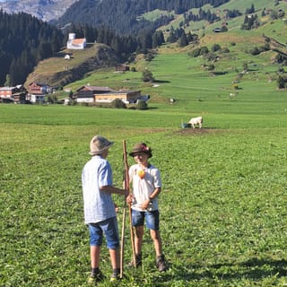 Knaben auf der Weide
