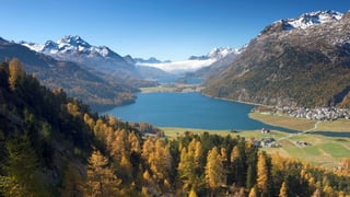 Purtret dal Lej da Silvaplauna e davos il lej da Segl. 