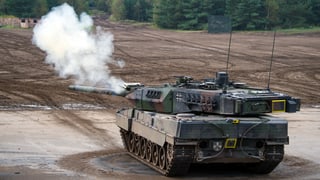 Panzer che fa fim.