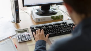 Il maletg mussa ina persuna vid il computer