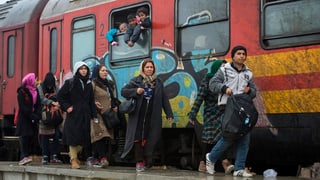 Fugitivs ch'èn sin via vers il cunfin da la Serbia, il 6 da schaner 2016. Fugitivs ch'èn sin via vers il cunfin da la Serbia, il 6 da schaner 2016.