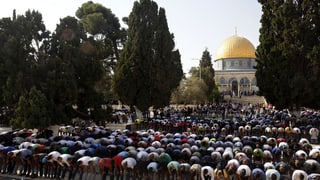 Persunas che fan oraziun avant la moschea sin il Munt dal Tempel