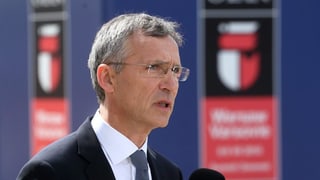 Portrait da Stoltenberg. Portrait da Stoltenberg.
