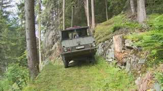 Cun in haflinger è vegnì transportà il material en la vischinanza da la fortezza.