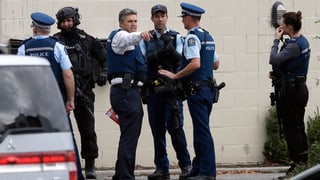 Polizia da la Nova Zelanda emprova da survegnir ina survista