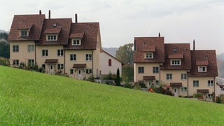 Purtret da chasas da pliras famiglias. 