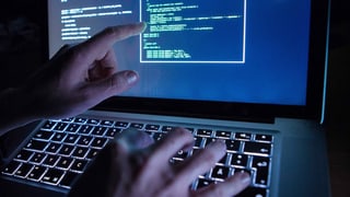 Purtret dad in computer ed ina persuna che mussa cun in det sin il visur. 