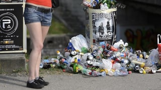 Tenor il Cussegl naziunal na duai littering betg vegnì chastià cun multas.