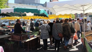 Martgà da Lille.