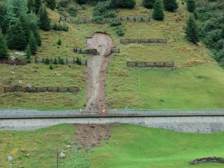 Via cun bova e lavuers.